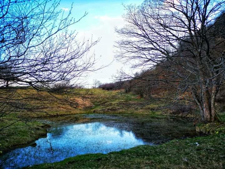 B&B Celeste Bedonia Kültér fotó